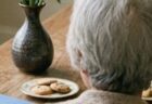 新型コロナワクチン接種について（高齢者（65歳以上））